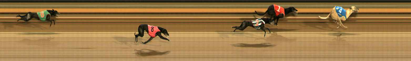 Photo finish for Ballarat Race 10