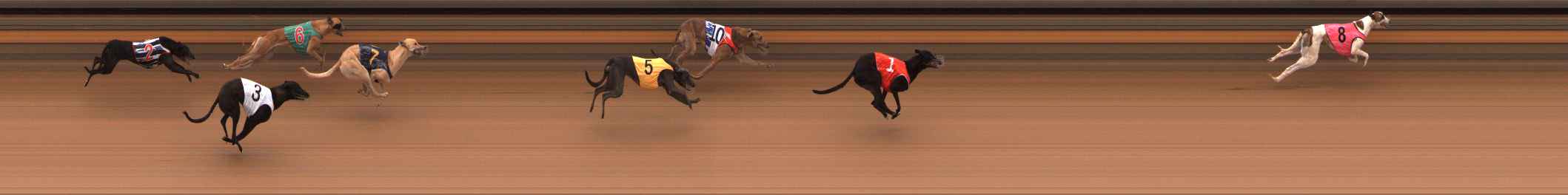 Photo finish for Ballarat Race 1