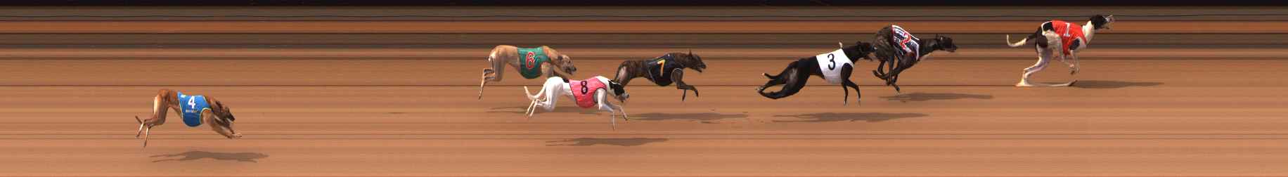 Photo finish for Ballarat Race 6