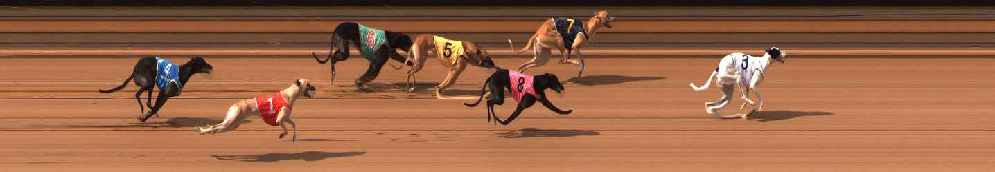 Photo finish for Ballarat Race 7