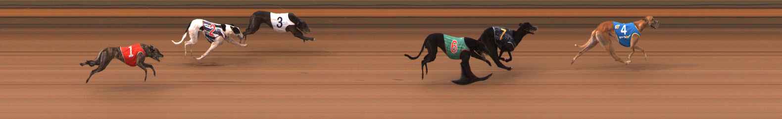 Photo finish for Ballarat Race 8