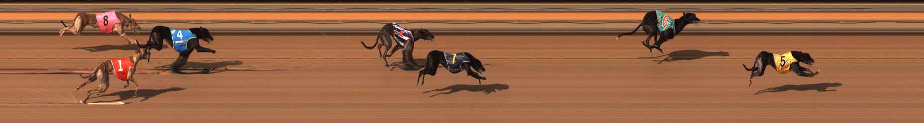 Photo finish for Ballarat Race 11