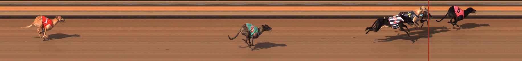 Photo finish for Ballarat Race 12