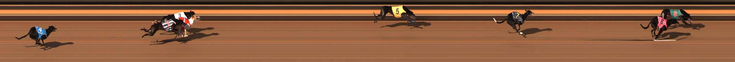 Photo finish for Ballarat Race 13