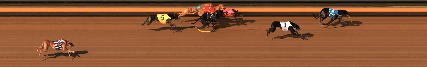 Photo finish for Ballarat Race 14