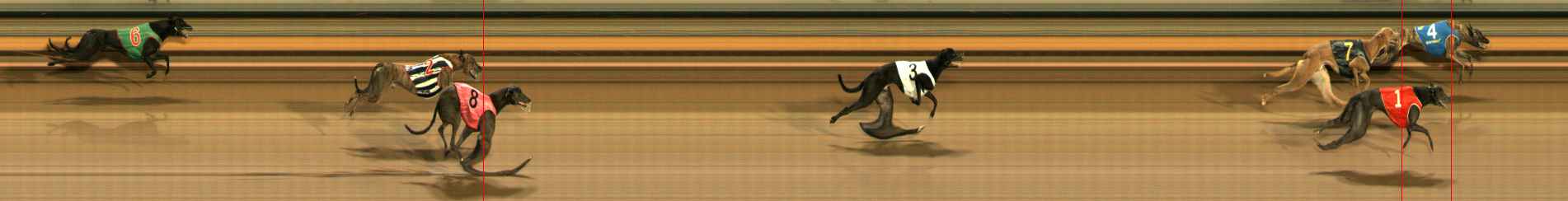 Photo finish for Ballarat Race 2