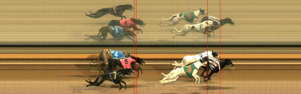 Photo finish for Ballarat Race 6