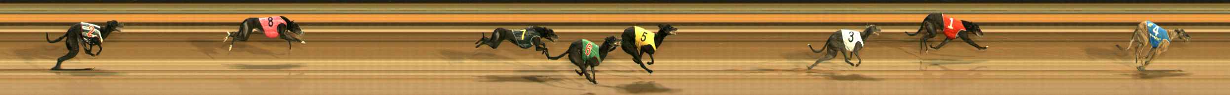 Photo finish for Ballarat Race 8