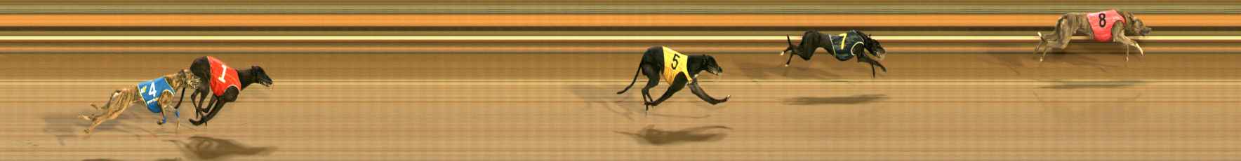 Photo finish for Ballarat Race 9