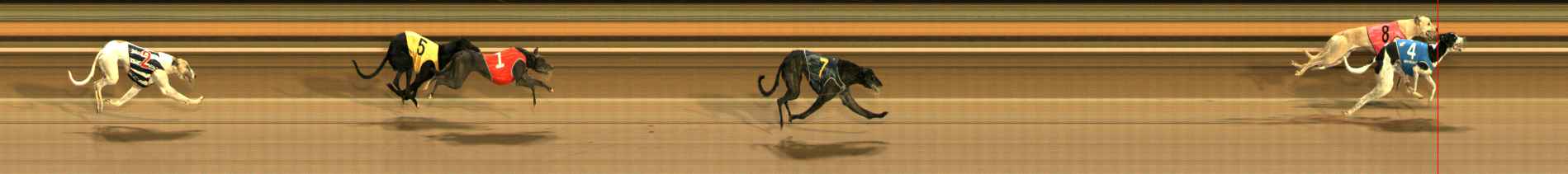 Photo finish for Ballarat Race 10