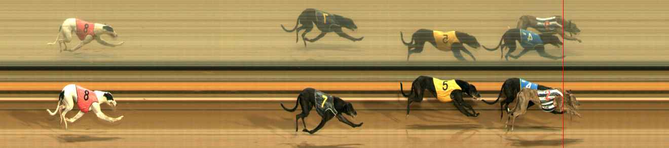 Photo finish for Ballarat Race 11