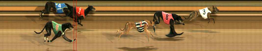 Photo finish for Ballarat Race 13