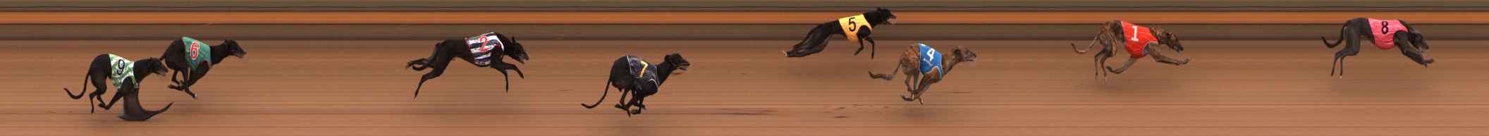 Photo finish for Ballarat Race 1