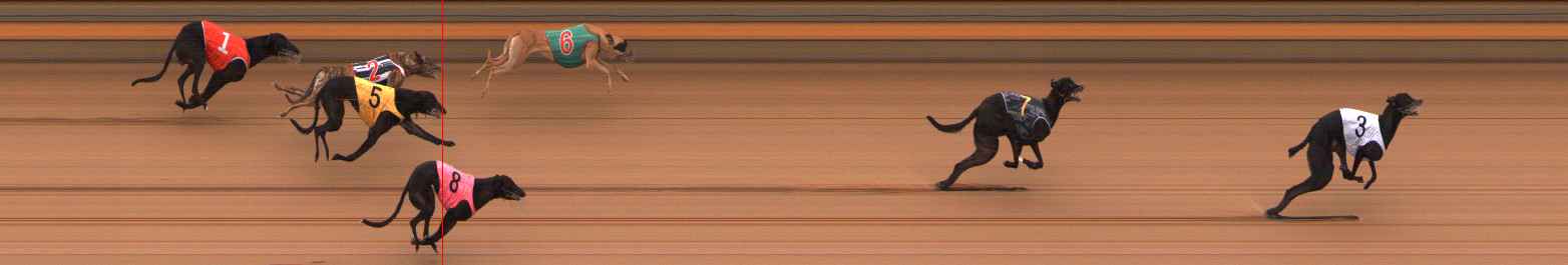 Photo finish for Ballarat Race 2