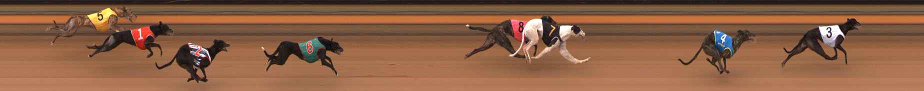 Photo finish for Ballarat Race 5