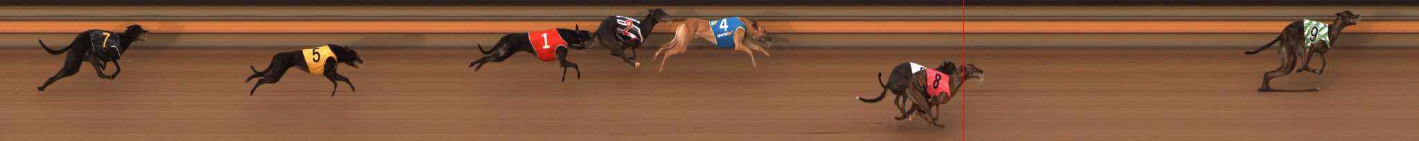 Photo finish for Ballarat Race 8