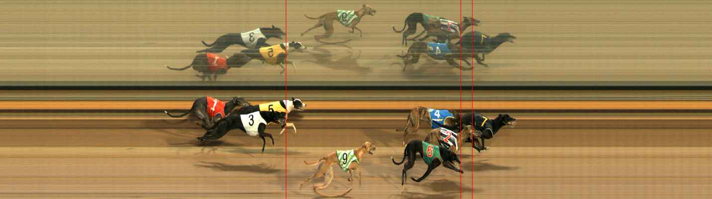 Photo finish for Ballarat Race 12