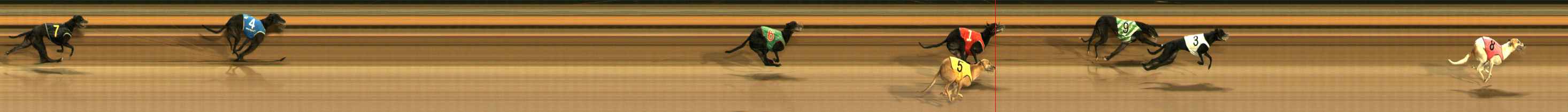 Photo finish for Ballarat Race 13
