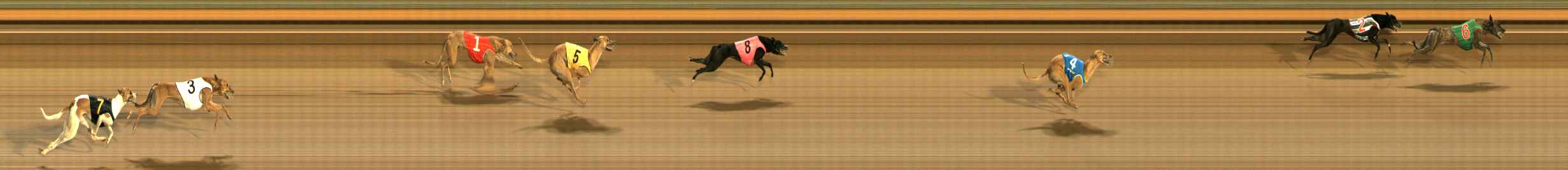 Race result finish photo