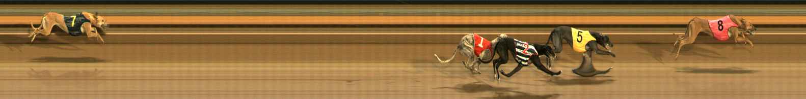 Race result finish photo