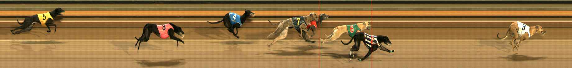 Race result finish photo
