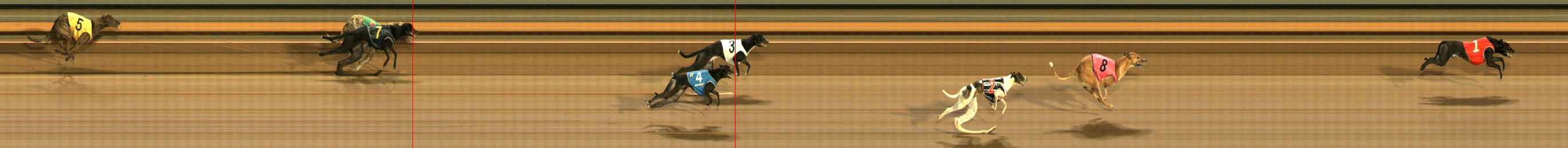 Race result finish photo