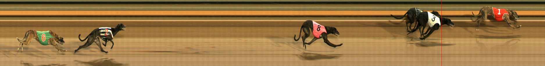 Race result finish photo