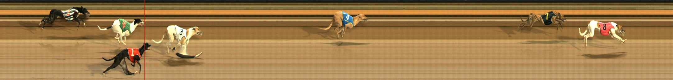 Race result finish photo