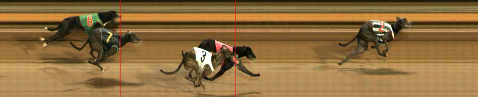 Race result finish photo