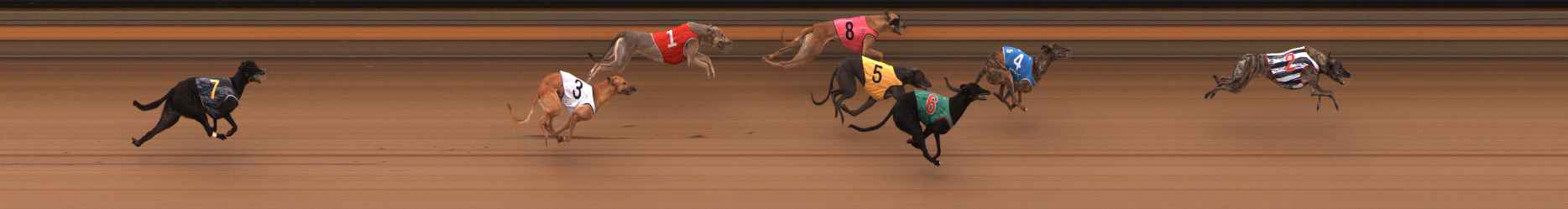 Photo finish for Ballarat Race 2