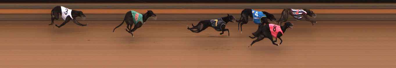 Photo finish for Ballarat Race 4