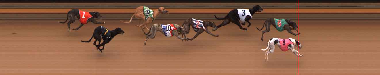 Photo finish for Ballarat Race 6