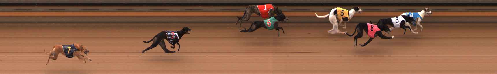 Photo finish for Ballarat Race 7
