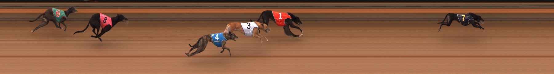Photo finish for Ballarat Race 8