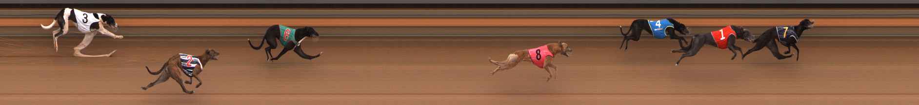 Photo finish for Ballarat Race 9