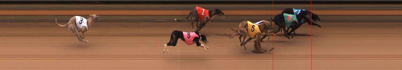 Photo finish for Ballarat Race 10