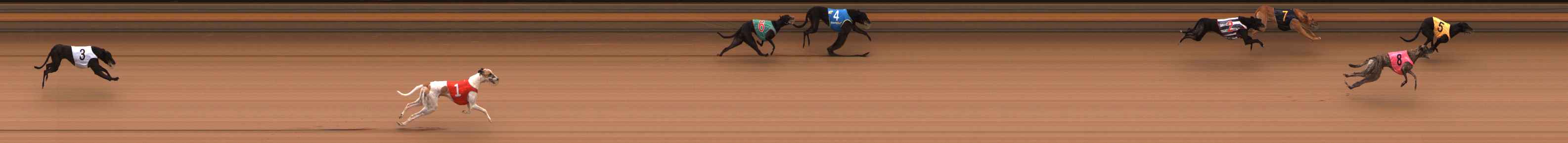 Photo finish for Ballarat Race 11