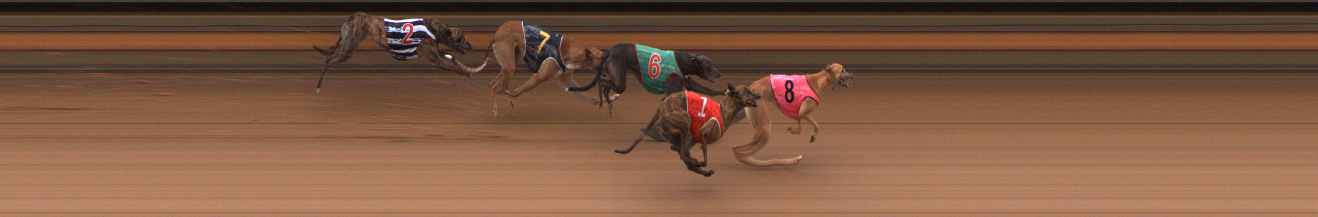 Photo finish for Ballarat Race 12