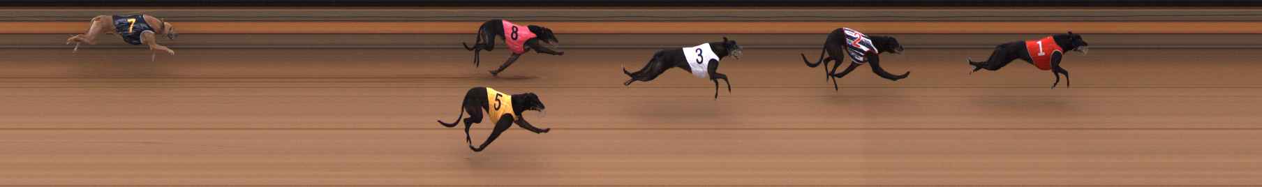 Photo finish for Ballarat Race 13