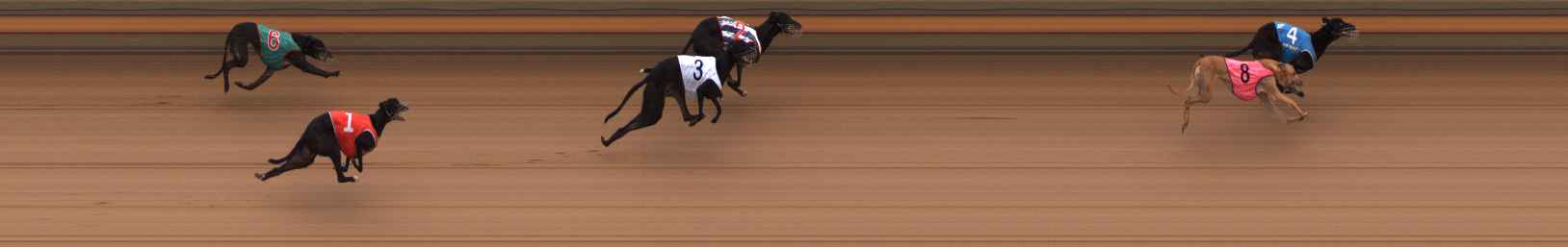 Photo finish for Ballarat Race 14