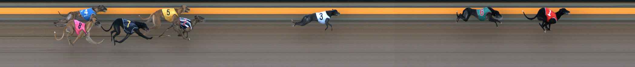 Photo finish for Ballarat Race 1