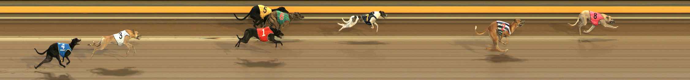 Photo finish for Ballarat Race 2