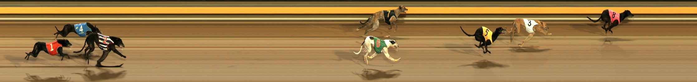 Photo finish for Ballarat Race 3