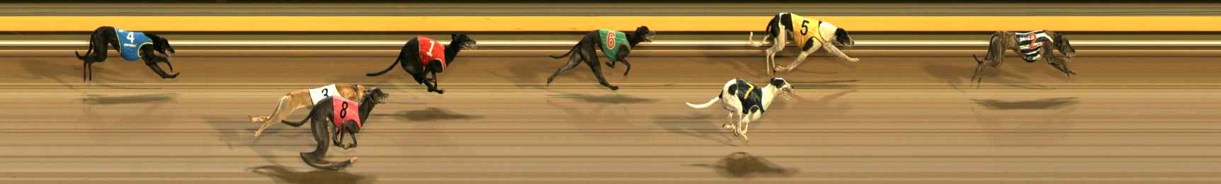 Photo finish for Ballarat Race 5
