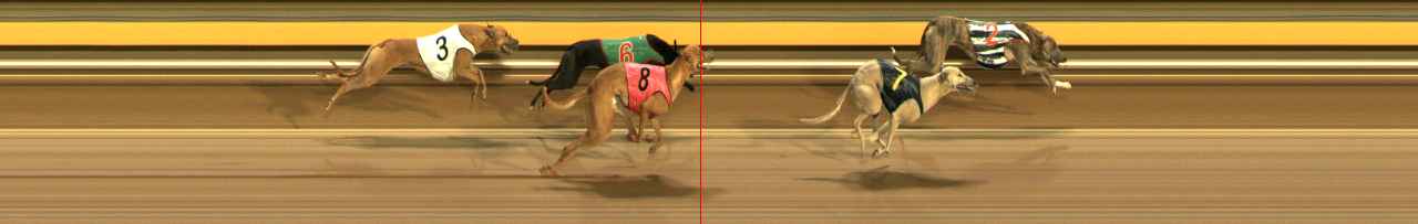 Photo finish for Ballarat Race 7