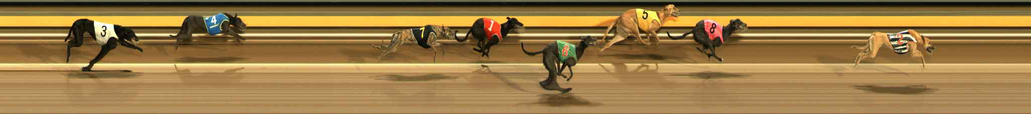 Photo finish for Ballarat Race 9