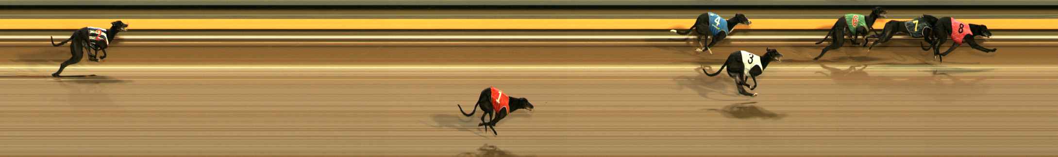 Photo finish for Ballarat Race 10