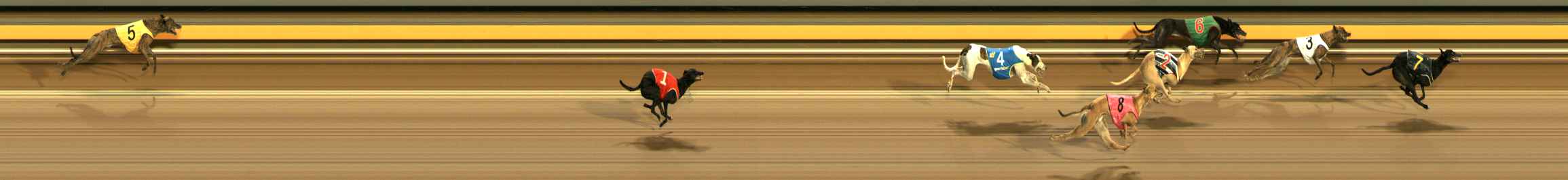Photo finish for Ballarat Race 11