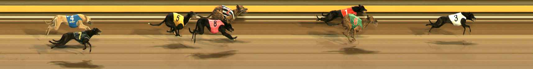 Photo finish for Ballarat Race 12