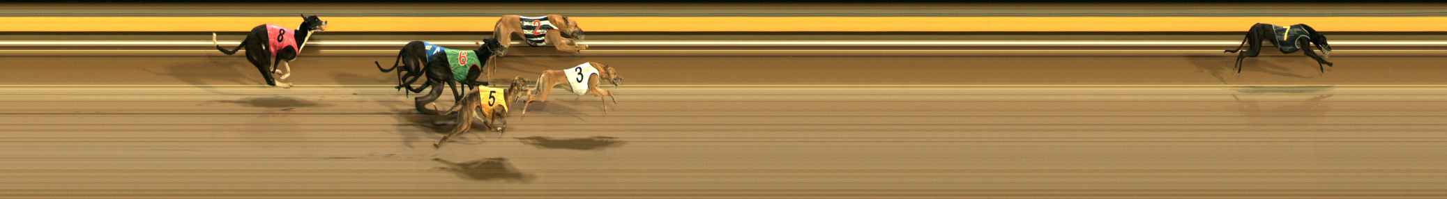 Photo finish for Ballarat Race 13